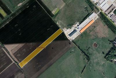 Teren de vanzare - zona Freidorf - 20.000 mp Teren de vanzare - zona Freidorf - 20.000 mp - 1