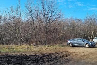 Teren de 3300 mp, în Central