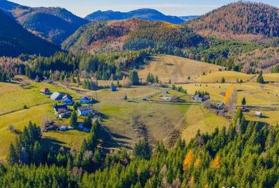 Teren de 13800 mp, în Fundățica - 17