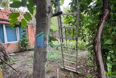 Casă individuală cu 9 camere cu Canalizare în Iosefin - 13