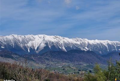 Teren de 6966 mp, în Fundata - 18