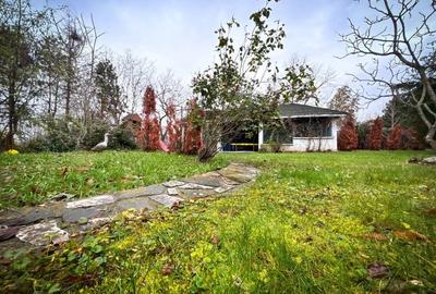 Vila de Vis in Corbeanca - Lux, Natura si Liniste, la un Pas de Lac! - 3
