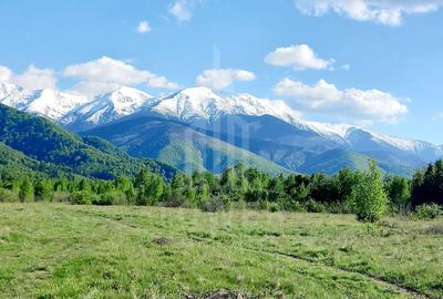 Teren extravilan de 2500 mp, în Porumbacu de Jos - 5