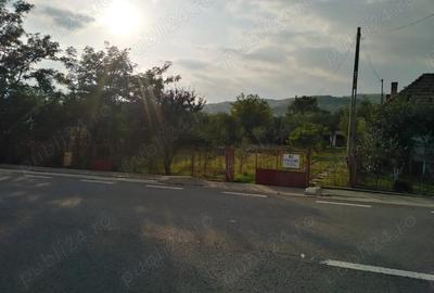 Casă cu 4 camere în Abuș - 7