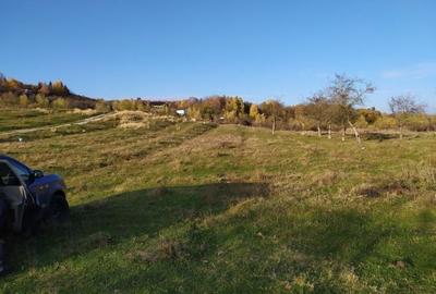 Teren Construcții intravilan de 2490 mp, în Voila - 7