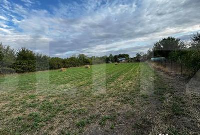 Casă cu 4 camere cu Teren 3892 Mp în Cebza - 13