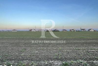 Teren de 500 mp, în Nojorid - 3