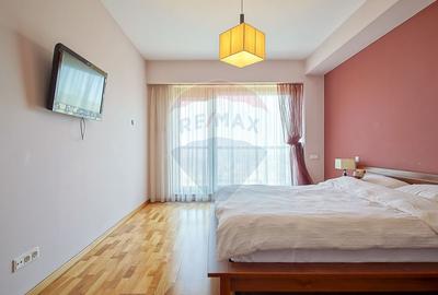 Apartament cu 2 camere semidecomandat, mobilat în Drumul Poienii - 6