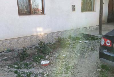 Casă cu 3 camere în Urseni - 4