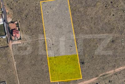 Teren 9.000 mp in Priseaca Intravilan + Extravilan, apr - 3