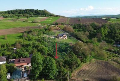 Teren de 3269 mp, în Slimnic - 5