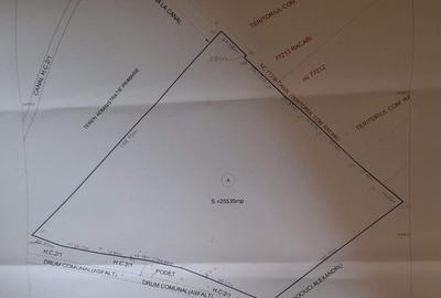 📍 Teren intravilan 25.535 mp – Cocani / Răcari – acces asfalt, curent, apă – 9 📍 Teren intravilan 25.535 mp – Cocani / Răcari – acces asfalt, curent, apă – 9 - 1