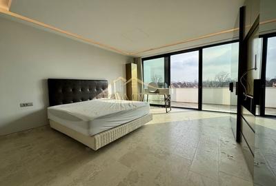 Resedinta de lux / * Kiseleff* - 15