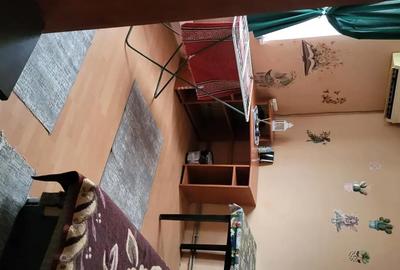 Apartament cu 2 camere semidecomandat în Central - 10