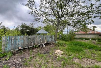 Casă individuală cu 4 camere cu Teren 4430 Mp în Tecucelu Sec - 12