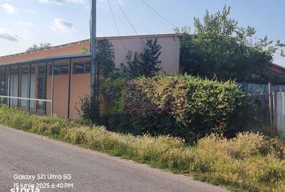 Casă cu 10 camere cu Teren 6000 Mp în Bulbucata - 19