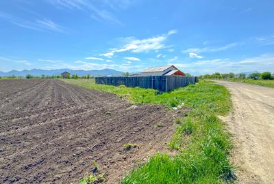 Teren intravilan, 1.7 hectare, Stupini Strada Barsei - 7