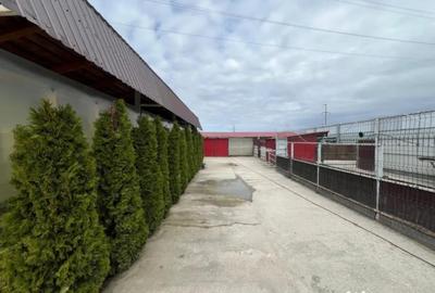 Teren în Ișalnița - 8