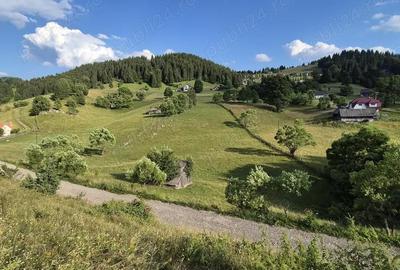 Teren de 6300 mp, în Fundata - 6