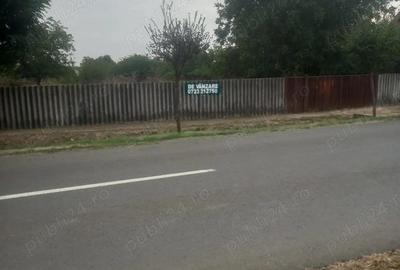 Teren curti constructii 8663 mp str. SAGUNA 70, Sannicolau Mare - 2