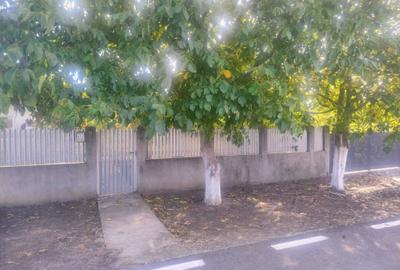 Casă cu 3 camere în Movila - 3