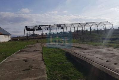 Casă cu 3 camere cu Teren 24281 Mp în Ciortea - 9