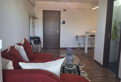 Apartament 2 cam de vanzare Curtea de Arges - 3