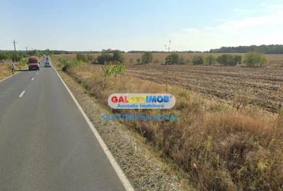 Teren de 14000 mp, în Moara Vlăsiei - 2