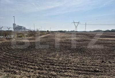 Teren de 15000 mp, în Dumbrăvița - 5