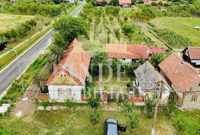 Casă individuală cu 3 camere cu Canalizare în Babșa - 1