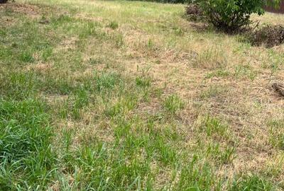 Teren de 800 mp, în Ostroveni - 3