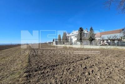 Teren intravilan I 47ari I Pătrăuți/Suceava I 81.500Euro - 2