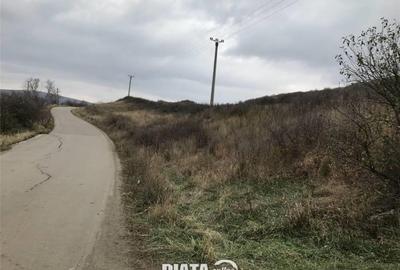 Teren extravilan situat pe Dealul Lombului - 1