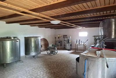 Crama de vanzare Odobesti -Vartescoiu - 5