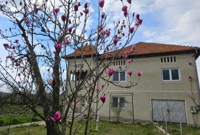 Casă cu Teren 3000 Mp în Sinești - 3