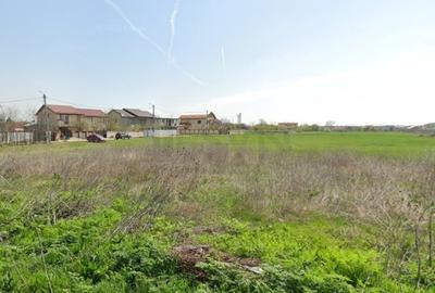 Teren Construcții intravilan de 1588 mp, în Cernica - 1