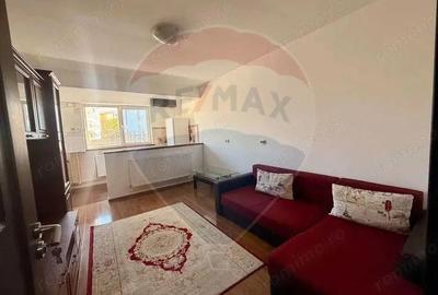 Apartament cu 2 camere de inchiriat in zona Brazda lui Novac - 7