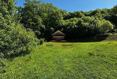 Teren de 1439 mp, în Mărgineni - 9