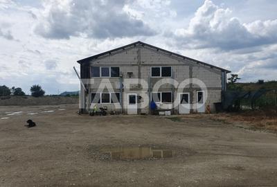 Teren si hala 42.000 mp + zona administrativa la 7 minute de Fagaras - 2