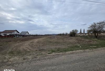 Teren de 5077 mp, în Sângeorgiu de Mureș - 2