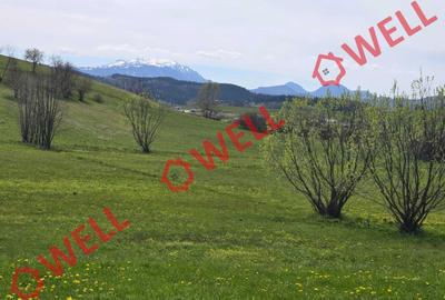 Teren agricol extravilan de 6519 mp, în Sărămaș - 6
