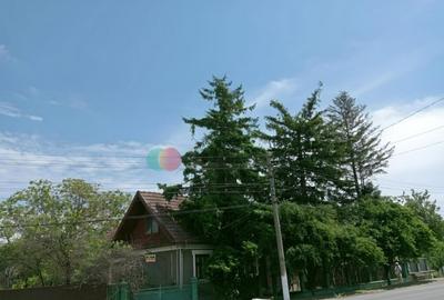 Casa Cujmir Mehedinti | Situata la strada | Teren 2038 mp| - 3