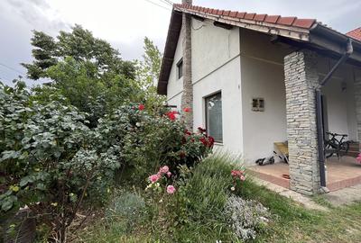 Mogosoaia, zona Martha Bibescu Mogosoaia, zona Martha Bibescu - 3