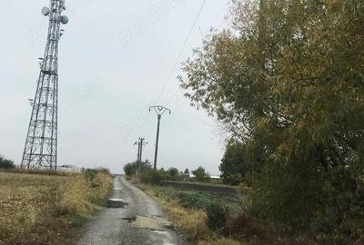 Teren de 1600 mp, în Cojești