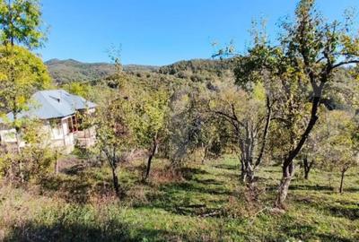 Teren de 2406 mp, în Central - 3