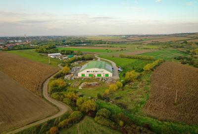 Spațiu industrial, de 2,000 mp, în Biharia - 3