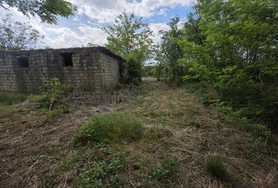 Teren Construcții intravilan de 1887 mp, în Lipău - 4