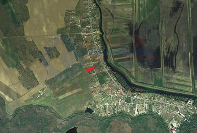 Teren Construcții intravilan de 2717 mp, în Dunavățu de Jos