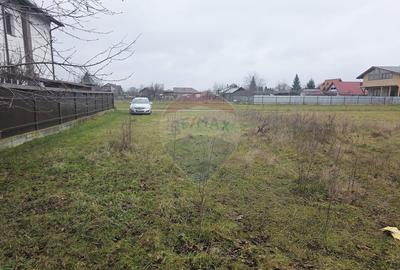 Teren 519mp Dumbrava Rosie / Strada CRANGULUI - 11