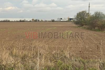 Teren intravilan de 22800 mp, în Joița - 5